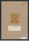 Anthodiscus floreatus Grove et Sturt. (de-Toni-Nr.: Genus 230, Species 5635) Zeichnungen Sammlung Grunow Nr. 9622 (NHMW-BOT-W0379546)